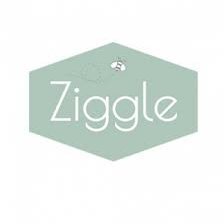 Ziggle Baby Ltd Logo